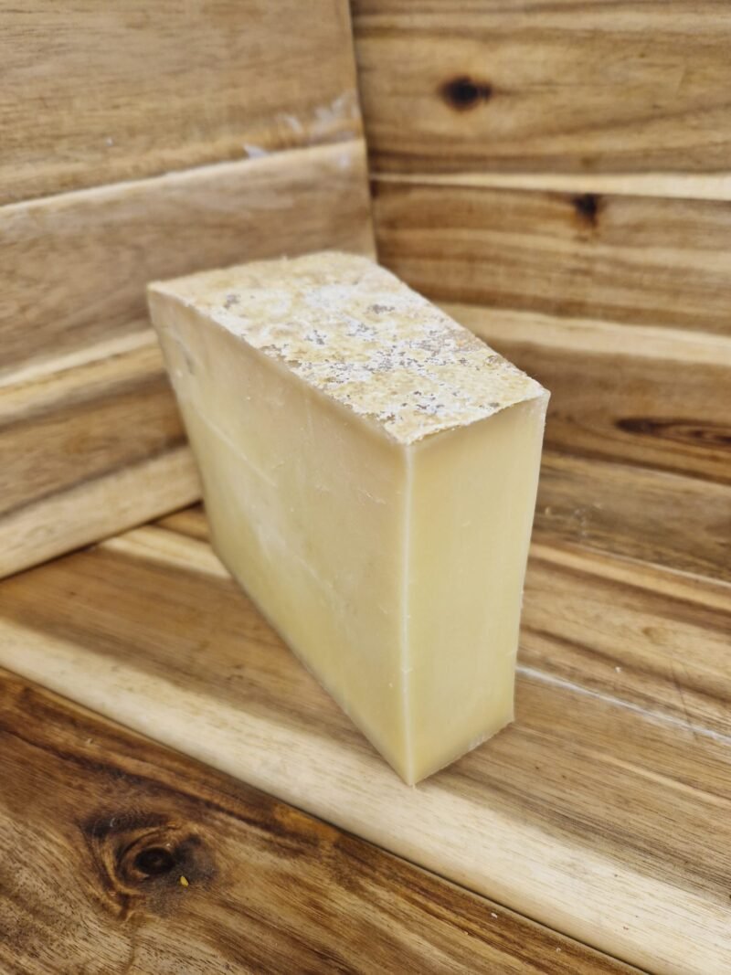 Cantal Jeune AOP