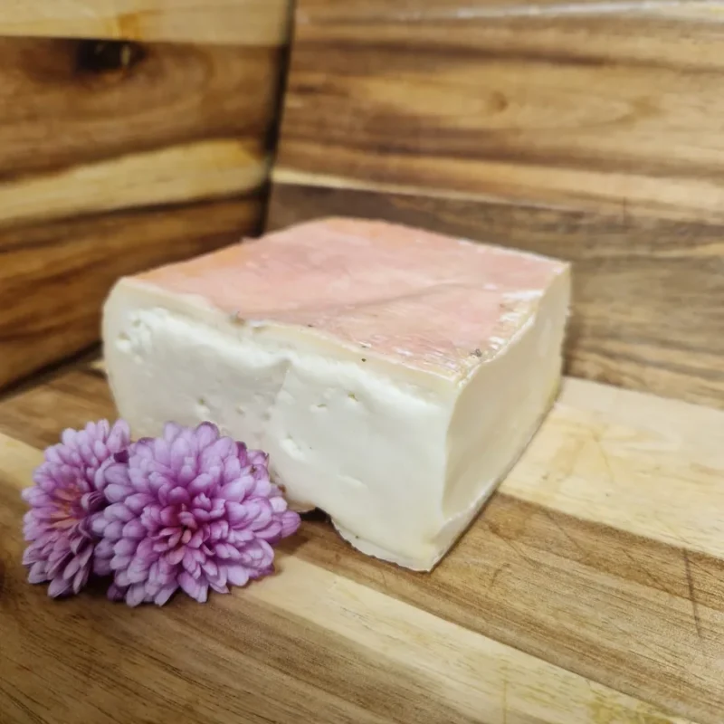 Fontina